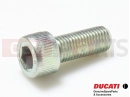 DUCATI 2006 Superbike 999 Vis