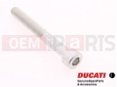 DUCATI 2010 Hypermotard 1100 EVO 5 pc - Vis