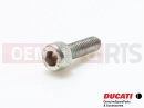 DUCATI 2004 998 Final Ed. 5 pc - Screw