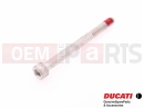 DUCATI 2004 998 Final Ed. Screw