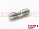 DUCATI 2005 Monster 1000 S Goujon