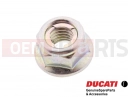 DUCATI 2025 Monster SP 5 PC - Mutter