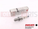 DUCATI 2003 Monster S4R 4 pc - Spark plug