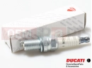 DUCATI 2000 Monster 400 4 pc - Spark plug (Champion)