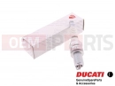 DUCATI 2003 Sporttouring ST2 4 pc - Spark plug