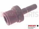 DUCATI 2001 Monster S4 STRETCHING PIN