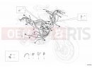 .BULB