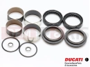 DUCATI 2008 Sportclassic 1000 S FRONT FORK OVERHAUL SET
