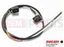 DUCATI 1997 Monster 600 DETECTOR