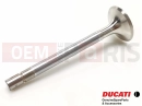 DUCATI 2000 Monster 600 Szelep (EX)