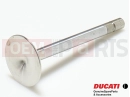 DUCATI 2004 Monster 620 Valve (EX)