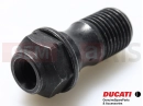 DUCATI 2024 Multistrada V4 RS Schraube (spec)