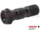 DUCATI 2025 Desert X Discovery Schraube (spec)