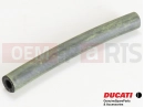 DUCATI 2001 Monster S4 Pipe