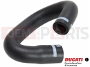 DUCATI 2022 Scrambler Nightshift DUCT, AIR