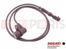 DUCATI 2006 Monster S4RS Sensor, Einheit