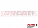 DUCATI 2004 Monster 620 Aufkleber (light gray)