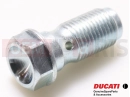 DUCATI 2004 998 Final Ed. Screw (M10x1)