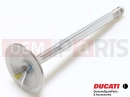 DUCATI 2022 Multistrada V2 S Szelep (IN)
