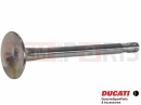 DUCATI 2022 Monster + Valve (EX)