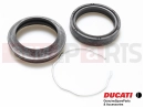 DUCATI 2011 Streetfighter Gabel Dichtring