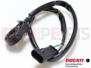 DUCATI 2017 Scrambler Cafe Racer SWITCH, STAND