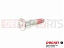 DUCATI 2010 Multistrada 1100 Csavar (M6x30)