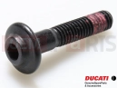 DUCATI 2012 Diavel Screw (M6x30)