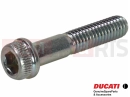 DUCATI 2018 Multistrada 1200 Enduro Screw