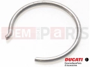 DUCATI 2018 Diavel Carbon Seeger