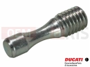 DUCATI 2021 Panigale V4 PIN