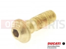 DUCATI 2004 998 Final Ed. Csavar (spec)