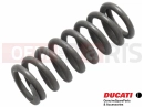 DUCATI 2016 Scrambler Icon Spring