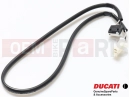 DUCATI 2016 Hypermotard 939 SP MICROSWITCH