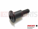 DUCATI 2018 Diavel Screw (spec)