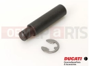 DUCATI 2007 Monster S4RS .BOLT, PIVOT