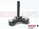 DUCATI 2019 Monster 1200 R Lower fork plate