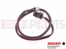 DUCATI 2004 Monster 1000 S Bremslichtschalter