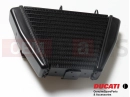 DUCATI 2012 Diavel Carbon Ölkühler
