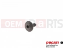 DUCATI 2012 Diavel Screw (M5x12)