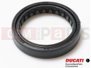 DUCATI 2012 Diavel Carbon Simeringuri Furca