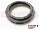 DUCATI 2013 Diavel Carbon Fork dust seal
