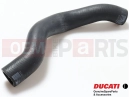 DUCATI 2020 Multistrada 950  Hadice (Pump/Cooler)