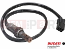 DUCATI 2015 Monster 821 Stripe Oxygen sensor - Lambda sensor