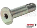DUCATI 1995 Monster 600 Screw (spec)