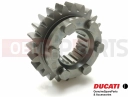 DUCATI 2025 Monster Plus DRIVEN GEAR 5TH SPEED T24
