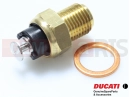 DUCATI 1998 900 SS Final Ed. .THERMISTOR
