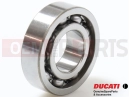 DUCATI 2021 Monster 1200 Ținând