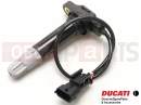 DUCATI 2011 Multistrada 1200 IGNITION COIL