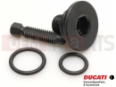 DUCATI 2012 Diavel Carbon Schraube